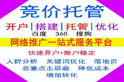 某行业sem优化托管的成功经验分享