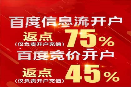 SEM竞价推广案例：电商行业成功案例解析