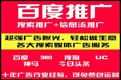 竞价排名中的数据分析和优化案例